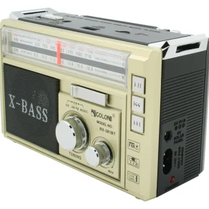 رادیو بلوتوثی golon مدل rx-381