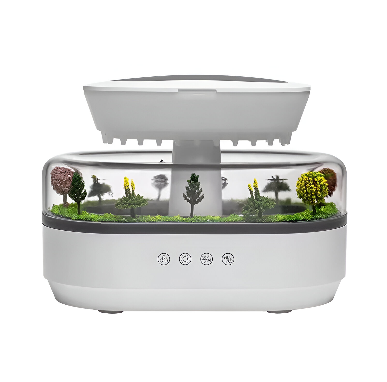 799599052_IMG_20250120_200047_017