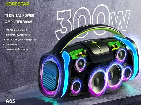 Hopestar-300W-Speaker-A65-Description04_11zon-2